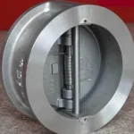 Alloy 20 Dual Plate Wafer Check Valve