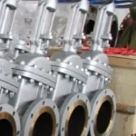 ANSI Gate Valve