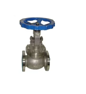 API Globe Valve