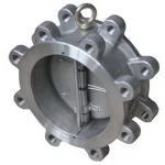 Alloy 20 Dual Plate Lug Type Check Valve