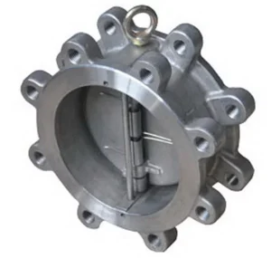 Alloy 20 Dual Plate Lug Type Check Valve