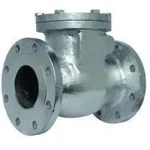 Alloy 20 Swing Check Valve