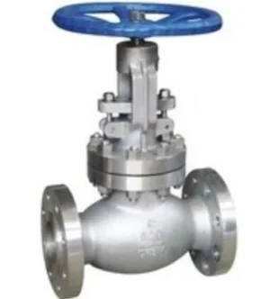 Alloy 20 Flanged Globe Valve