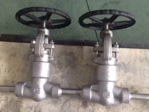 Alloy Pressure Seal Globe Valve