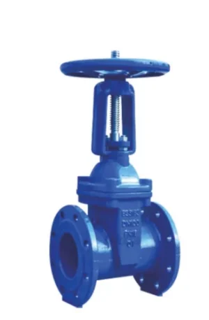 BS Ductile Iron Gate valve
