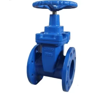 BS NRS Cast Iron Gate Valve