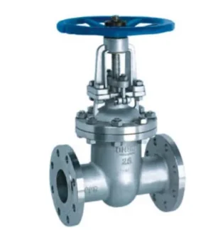 BS Stainless Steel Gate Valve