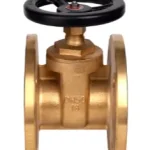 Bronze Flanged Gate Valve