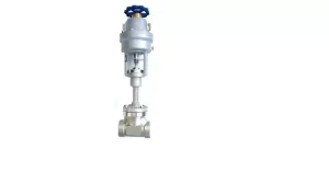 Cryogenic Emergency Cut off Valve