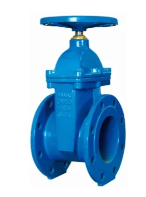 DIN Non Rising Stem Cast Iron Gate Valve