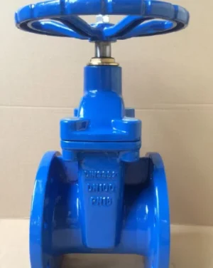 DIN Soft Seat Gate Valve