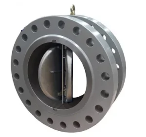 Dual Plate Lug Check Valve