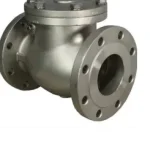 F347 Swing Check Valve