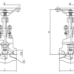 F53/F55 Super Duplex Globe Valve - Image 2