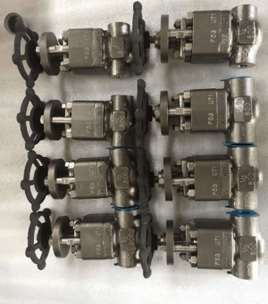 F53/F55 Super Duplex Globe Valve