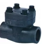 Forged Steel Swing Check Valve