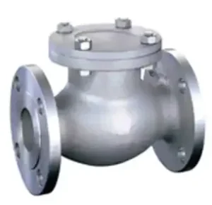 Hastelloy C276/B3 Swing Check Valve
