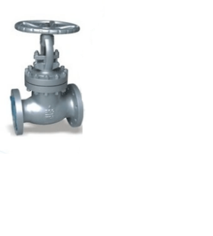 Incoloy Globe Valve