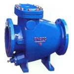 Non Slam Swing Check Valve