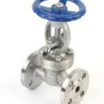 SS316L Gate Valve