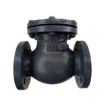 Super Duplex 5A Swing Check Valve