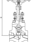 Super Duplex 5A Globe Valve - Image 2