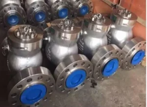 Swing Check Valve