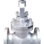 Titanium Globe Valve