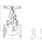 Zirconium Globe Valve - Image 2