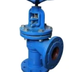 Angle Globe Valve