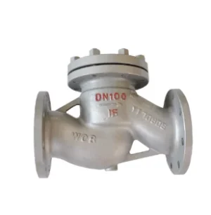 Lift Check Valve