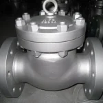 Titanium Swing Check Valve