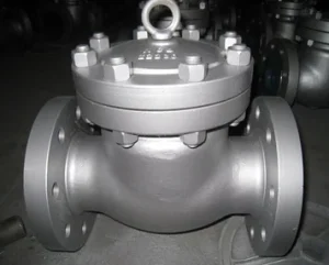 Titanium Swing Check Valve