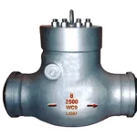 Pressure Seal Swing Check Valve