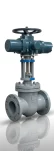 Actuated Valves
